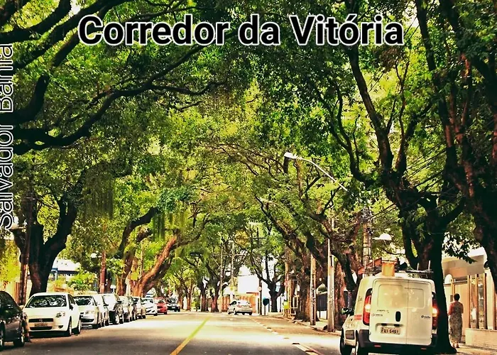 Luz De Regina Bahia